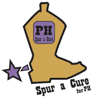 AZ Spur-a-Cure PH Car Raffle